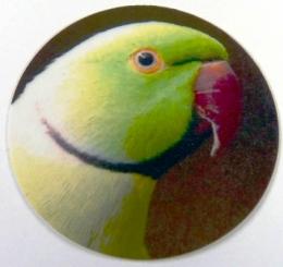 Alexandr mal� MINI logo