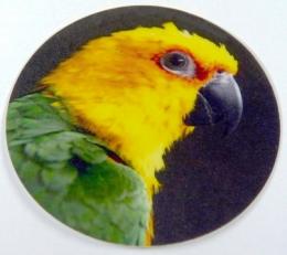Aratinga jendaj MINI logo