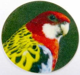 Rosela pestr� MINI logo
