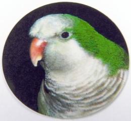 Mn�ek �ed� MAXI logo