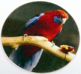 Rosela penant MAXI logo