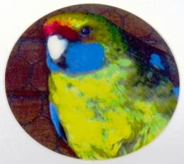 Rosela �lutob�ich� MAXI logo