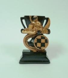 Motok�ry trofej FG301