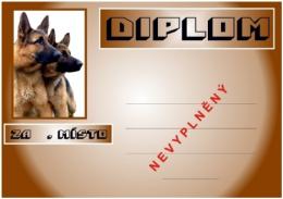 Ov��ci diplom A4 �.6