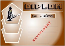 Hasi�i diplom A4 �.16