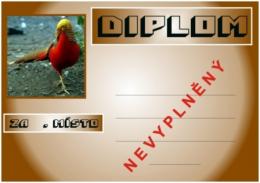 Ba�ant zlat� diplom A4
