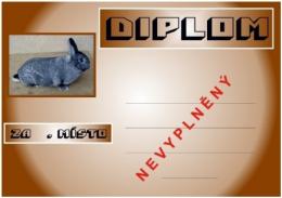 �in�ila mal� diplom A4