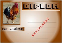 Kohout diplom A4