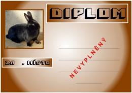 Kr�l�k v�de�sk� �ern� diplom A4