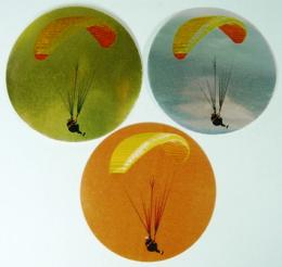  Paragliding MINI loga L1�.113