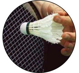 Badminton MAXI logo L 2 �.161