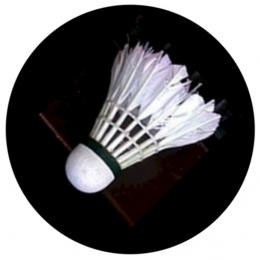 Badminton MINI logo L 1 �.160
