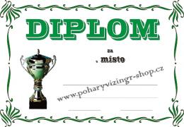 Diplom A4 D �.4