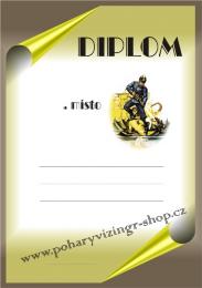 Hasi�i diplom A4 �.20
