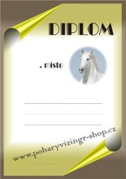 Kon� diplom A4 �.6