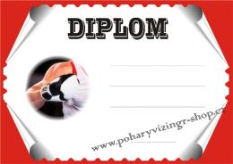Box diplom A4 �.1