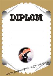 Box diplom A4 �.6