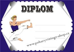 Karate diplom A4 �.10