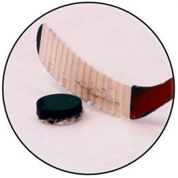 Ledn� hokej MINI logo L1�.179