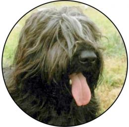 Briard MINI logo L1�.199