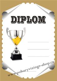 Diplom A4 D �.41