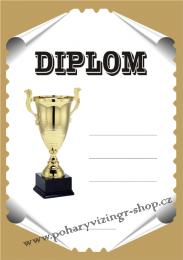 Diplom A4 D �.42
