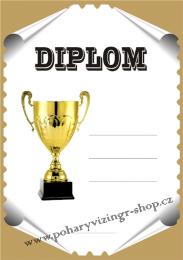 Diplom A4 D �.43