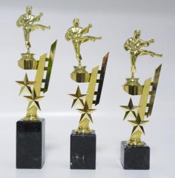 Karate trofeje MU�I 38-F10