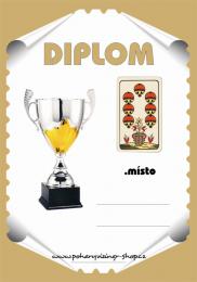 Karty diplom �.17