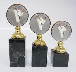 Karate trofeje 47-FG005