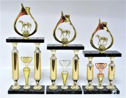 Kon� trofeje 62-P046
