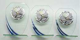 Badminton sklo K11-FG014