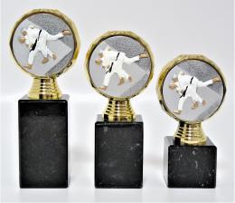 Judo trofeje K13-FG004