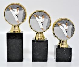 Karate trofeje K13-FG005