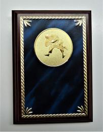 Judo plaketa H122-G181-77