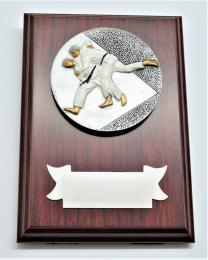 Judo plaketa H122-G15-FG004