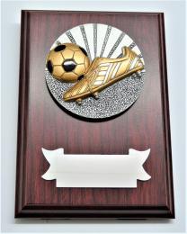 Fotbal plaketa H122-G15-FG028