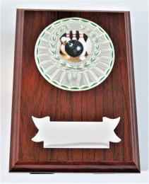Bowling plaketa H122-G15-G351-L150