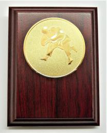 Judo plaketa H120-77