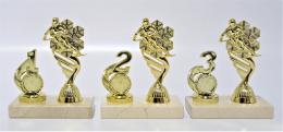 Sjezd trofeje 100-P424.01