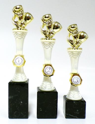 Box trofej s po�ad�m 121-P016