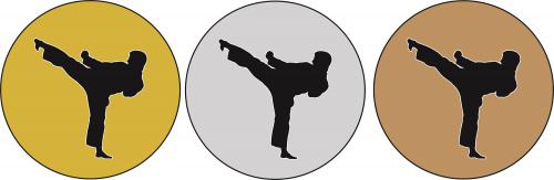 Karate MINI logo L1�.254