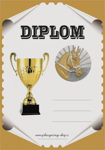 Kon� diplom A4 �.11