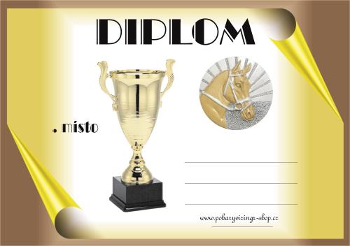 Kon� diplom A4 �.13