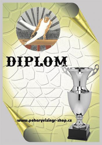 Gymnastika diplom A4 �.17