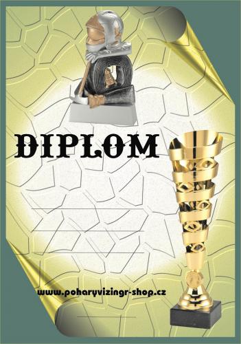 Hasi�i diplom A4 �.29