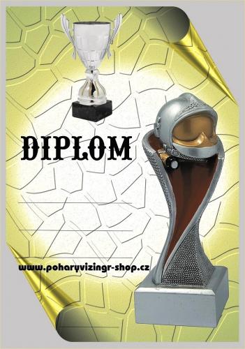 Hasi�i diplom A4 �.30