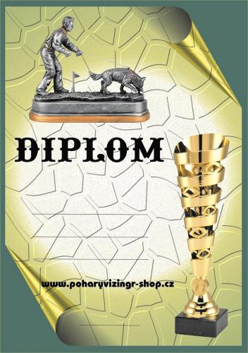 Stopa diplom A4 �.56