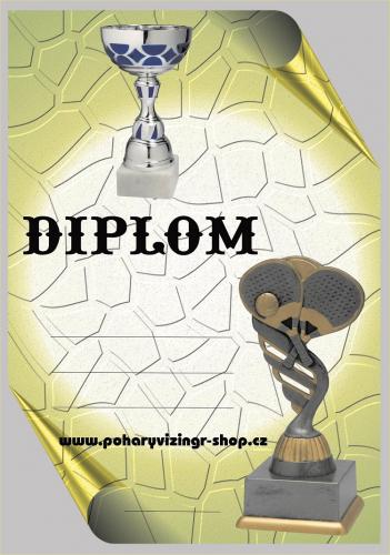 Squash diplom A4 �.10