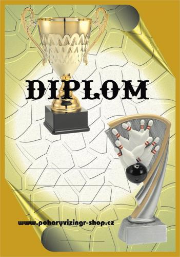 Bowling diplom �.27